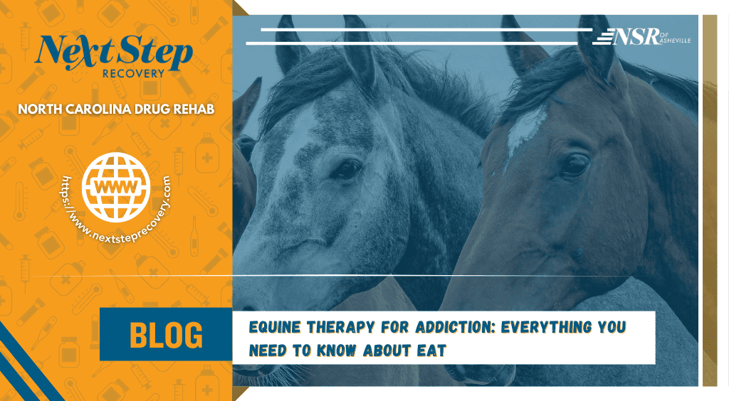 everything you need to know about equine-assisted therapy
